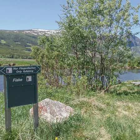 Pet Friendly In * Hemsedal