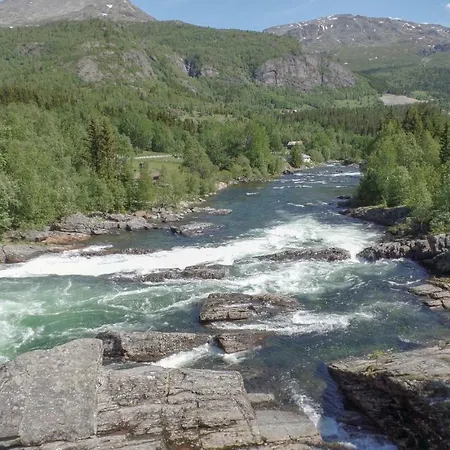 Pet Friendly In Apartmán