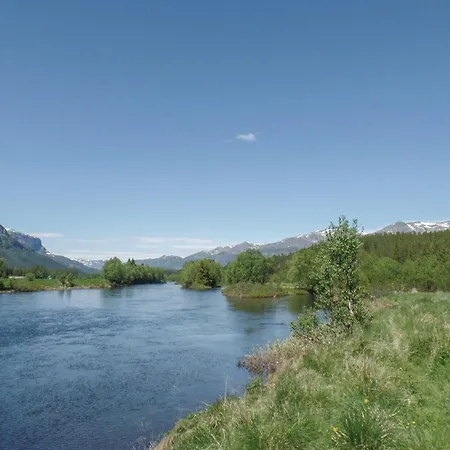 Pet Friendly In Apartament